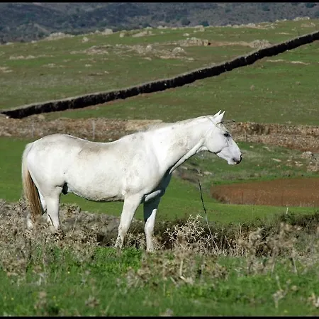 La Higuera Turistico Rural